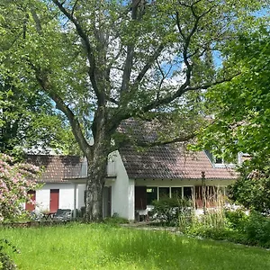 In Dießen am Ammersee